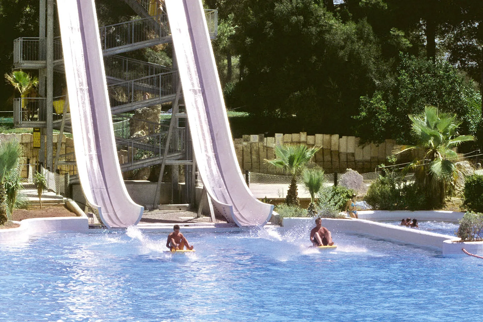 Aqualand El Arenal Tickets: Pet Care Options for Visitors