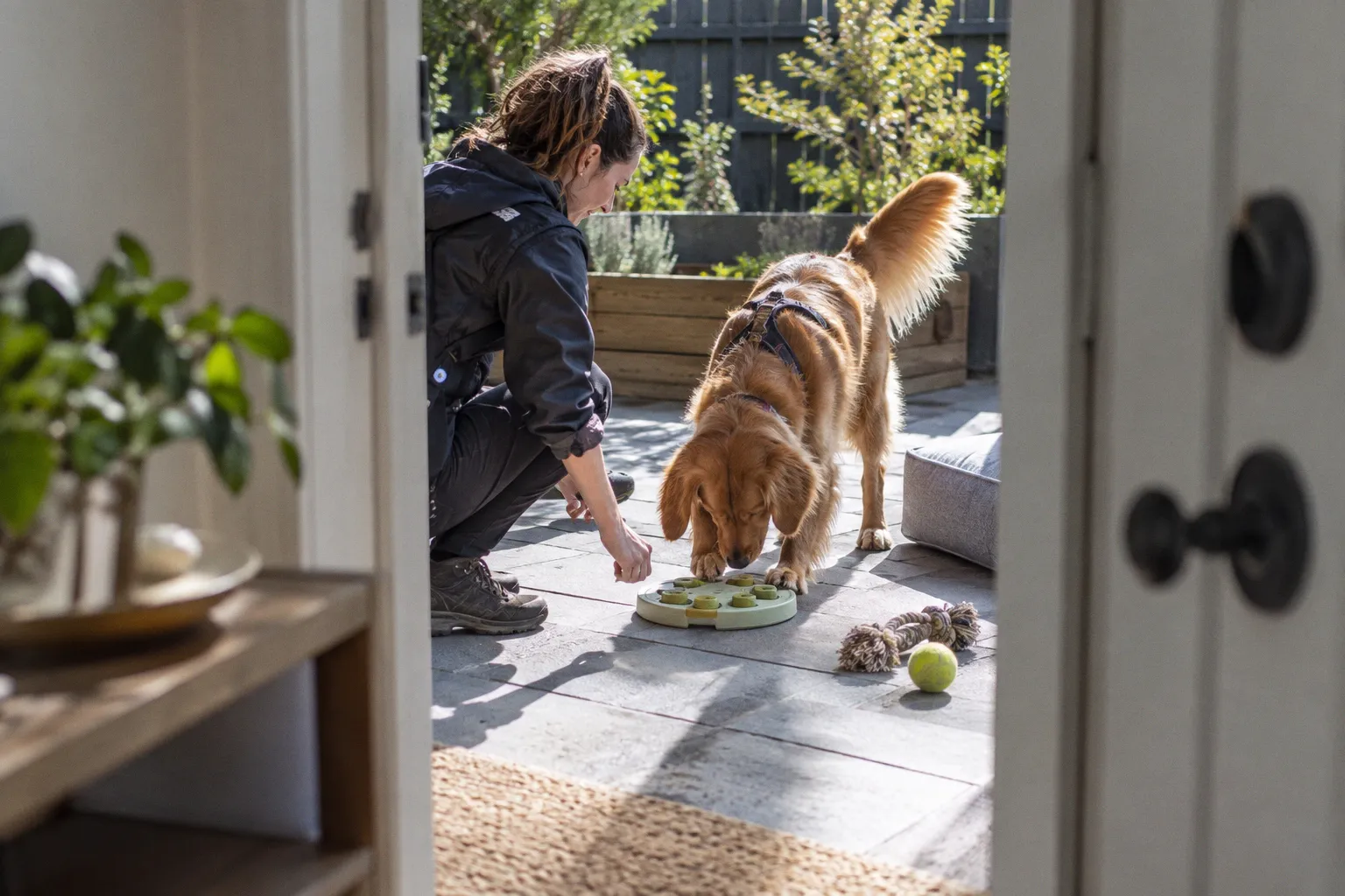 Beyond Boredom: Expert Strategies for Meaningful Canine Enrichment