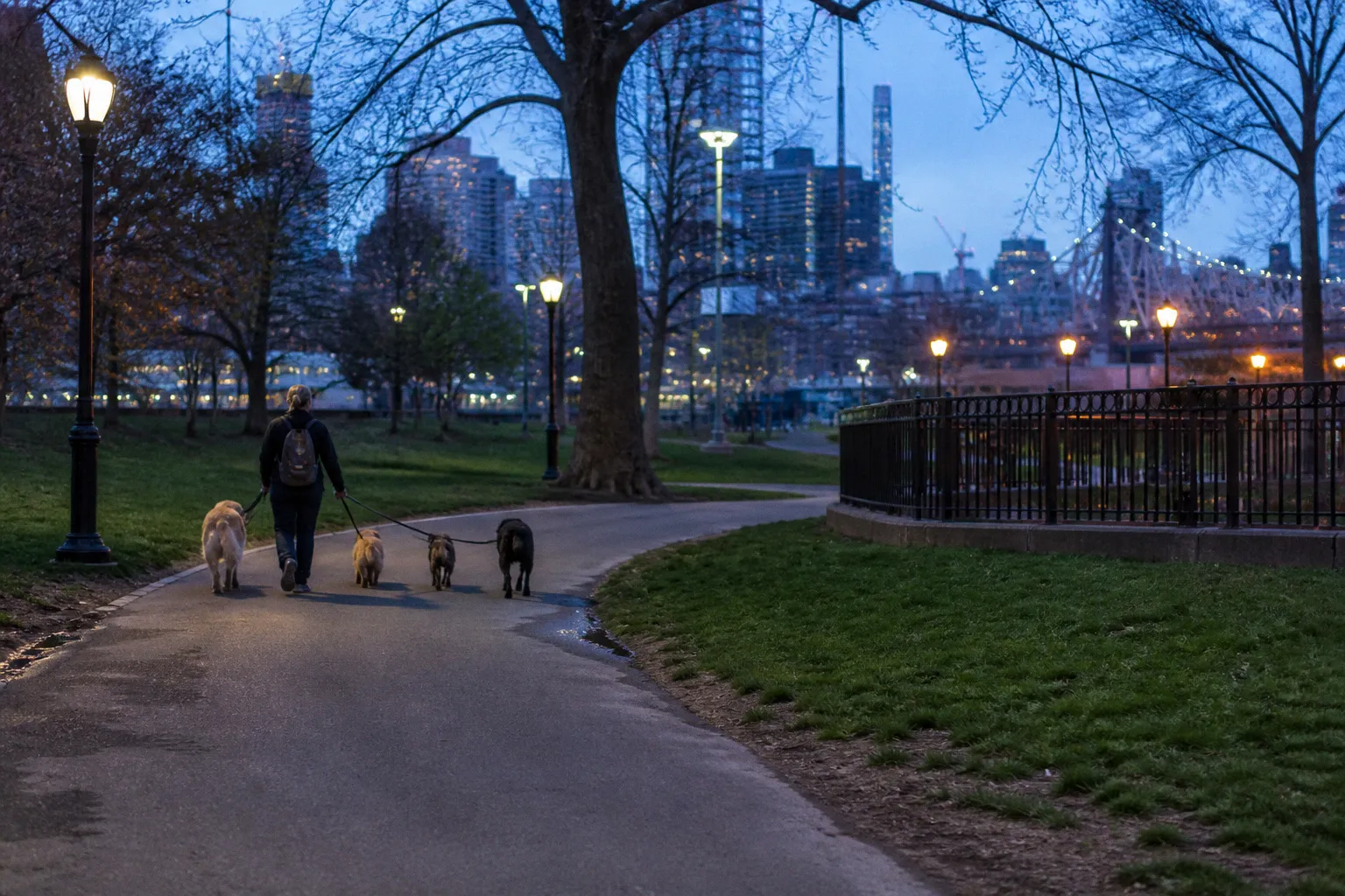 Beyond GPS Trackers: Coordinating Professional Pet Care with Shared Digital Logs