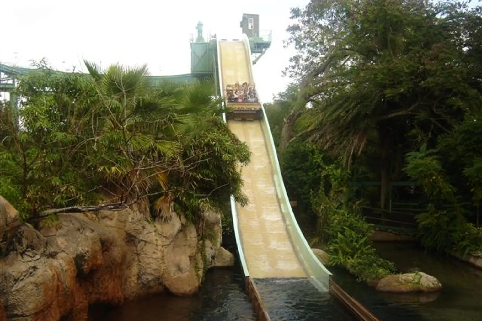 Busch Gardens Tampa Bay tickets: avoiding common booking traps