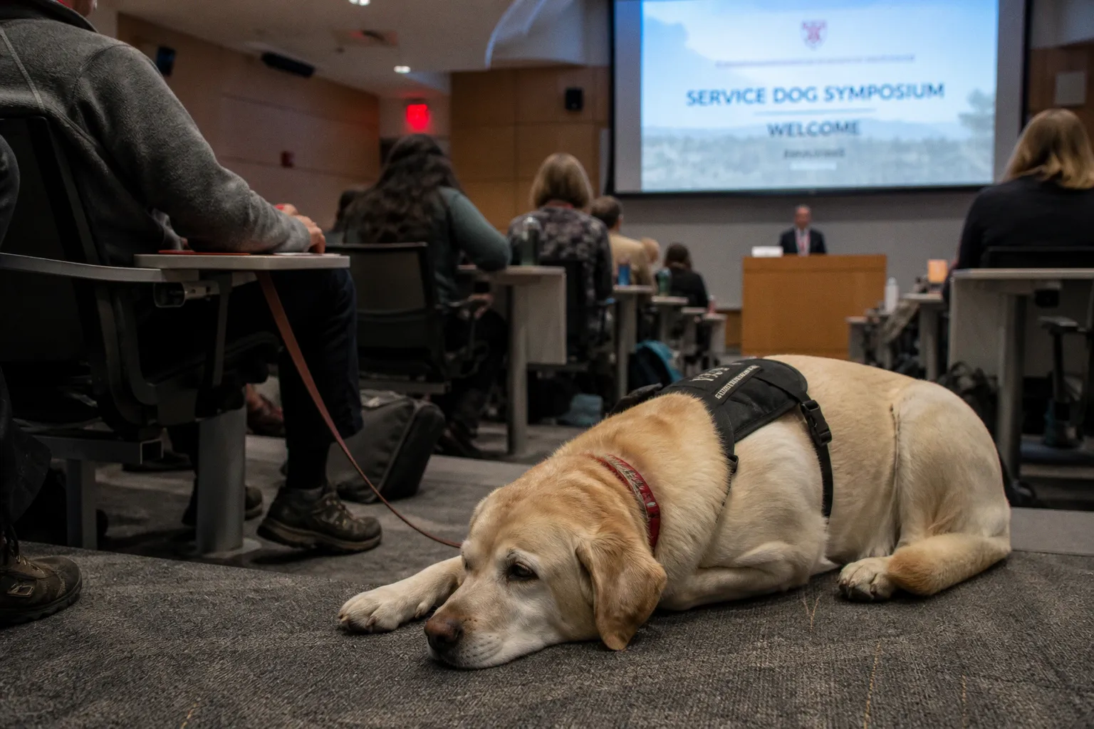 Cornell Symposium Sets New Evidence-Based Standards for Service Dog Care and Training