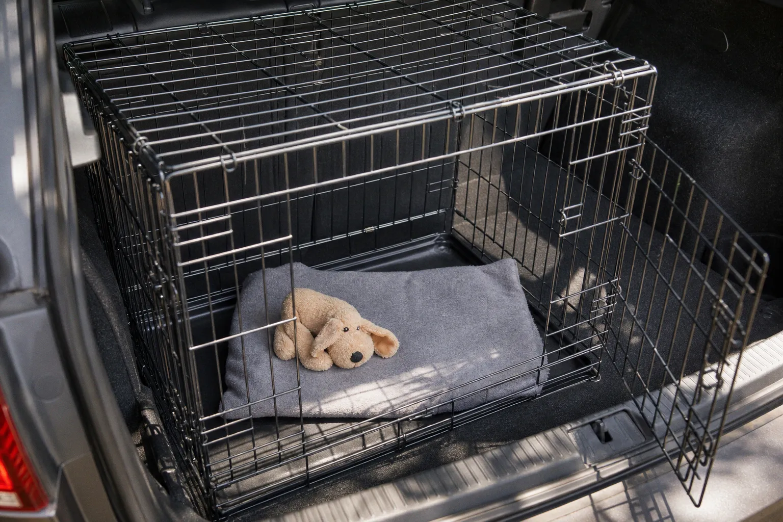 Dog road trip anxiety: milestones for stress-free travel