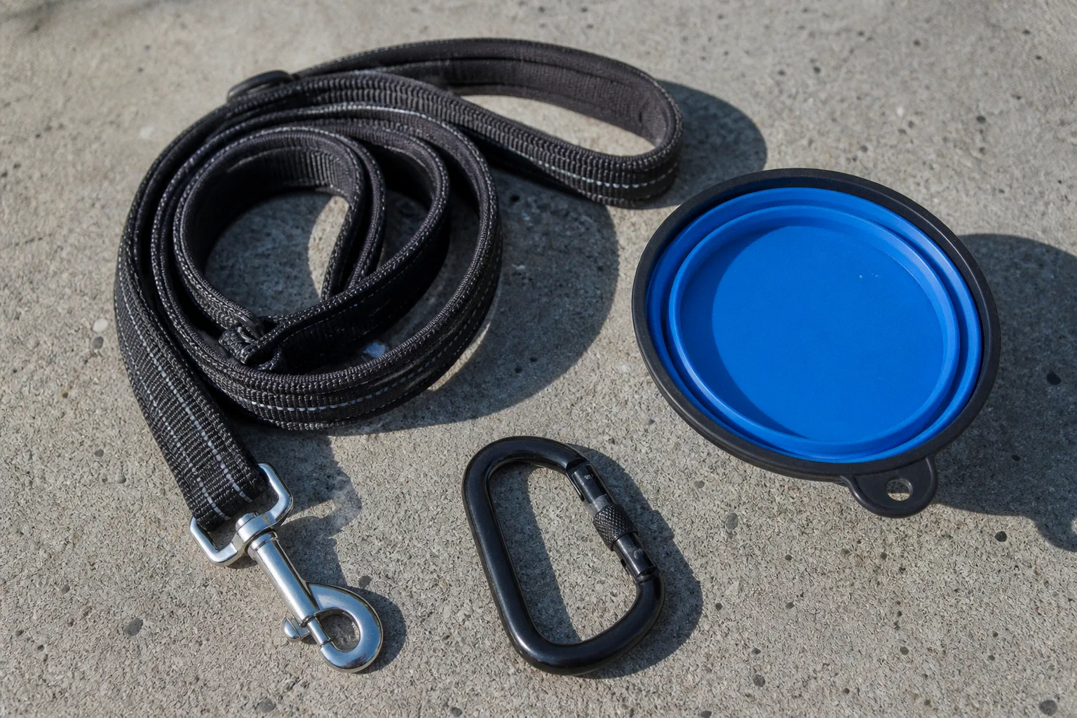 Dog walking gear: essential checklist for professional walkers