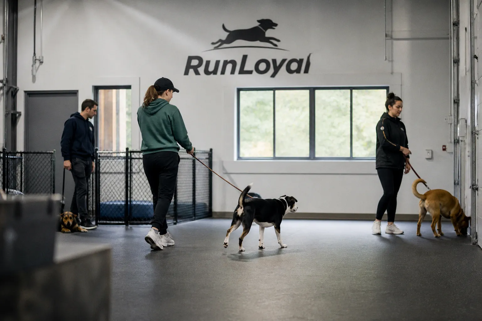 Evaluating RunLoyal After Its Pet Care Solution of the Year Award Win