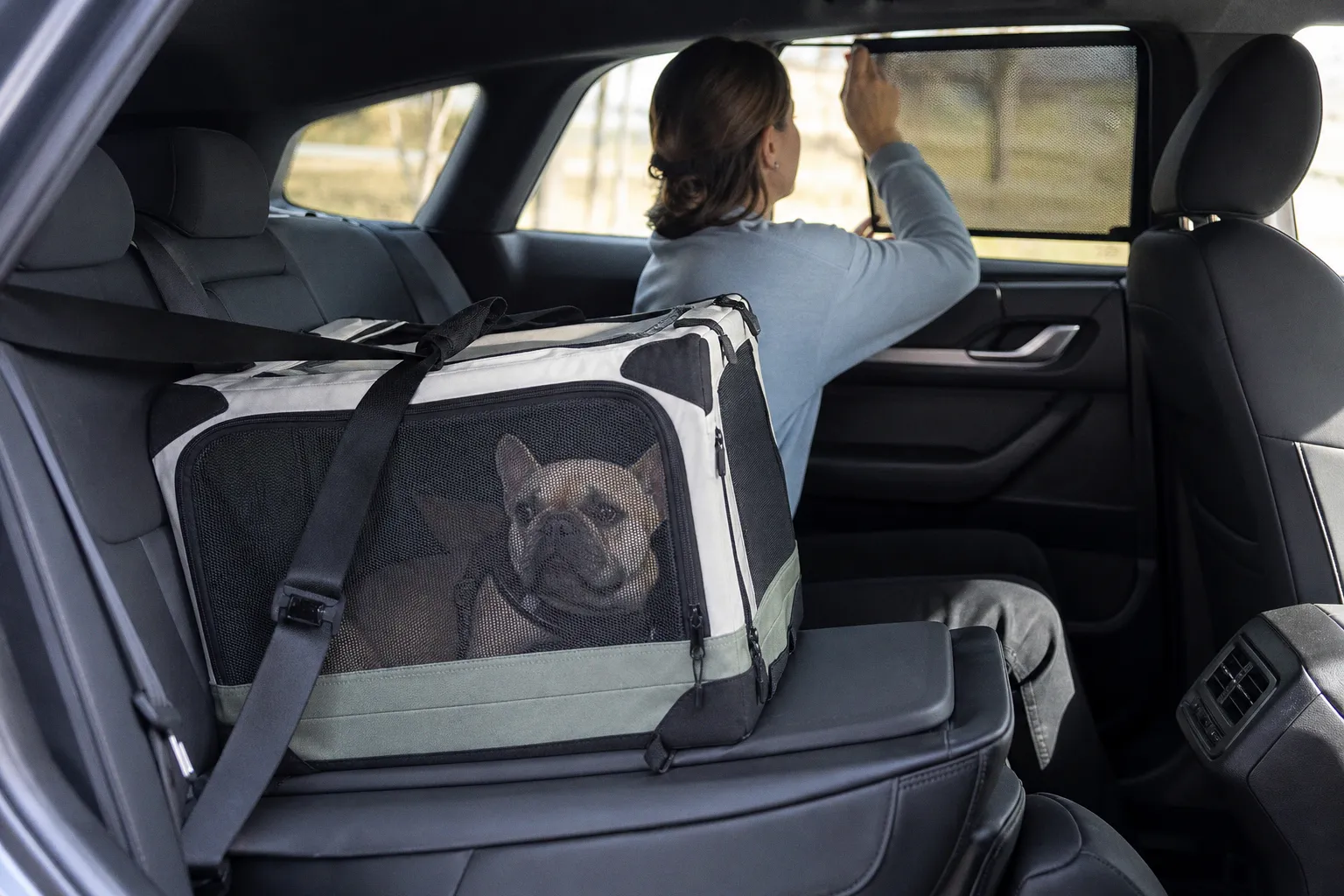 Ground transport safety for snub-nosed dogs