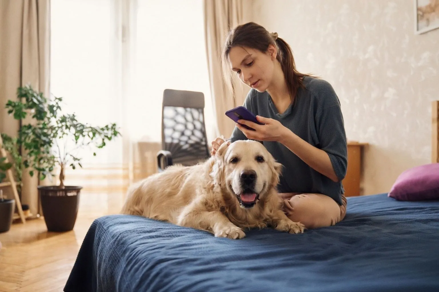 How Gen-Z Pet Owners Are Transforming Care Standards Through Digital Tools
