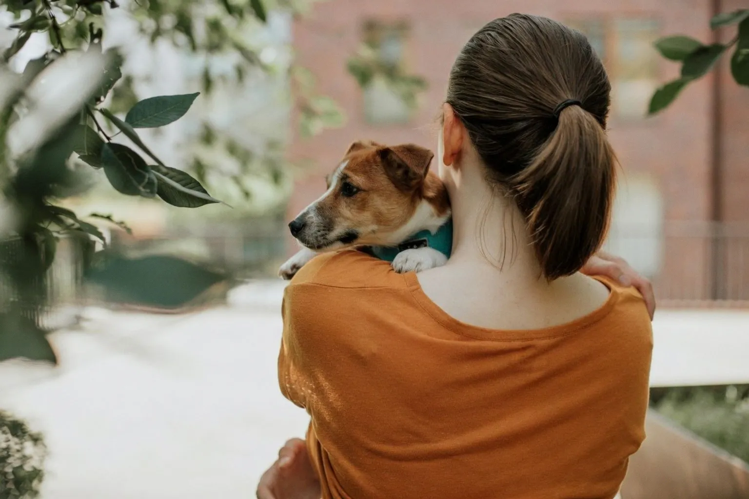 How Gen Z Uses Pet Ownership to Manage Stress and Daily Routines