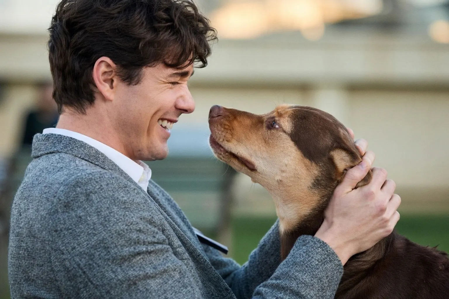 How the Rise of Pet-Friendly Travel Creates New Opportunities for Pet Care Professionals