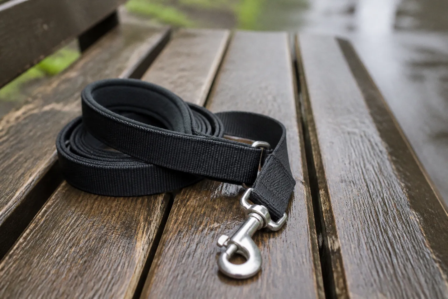 Longmont Dog Training Launches Confidence-Based Program to Manage Leash Reactivity