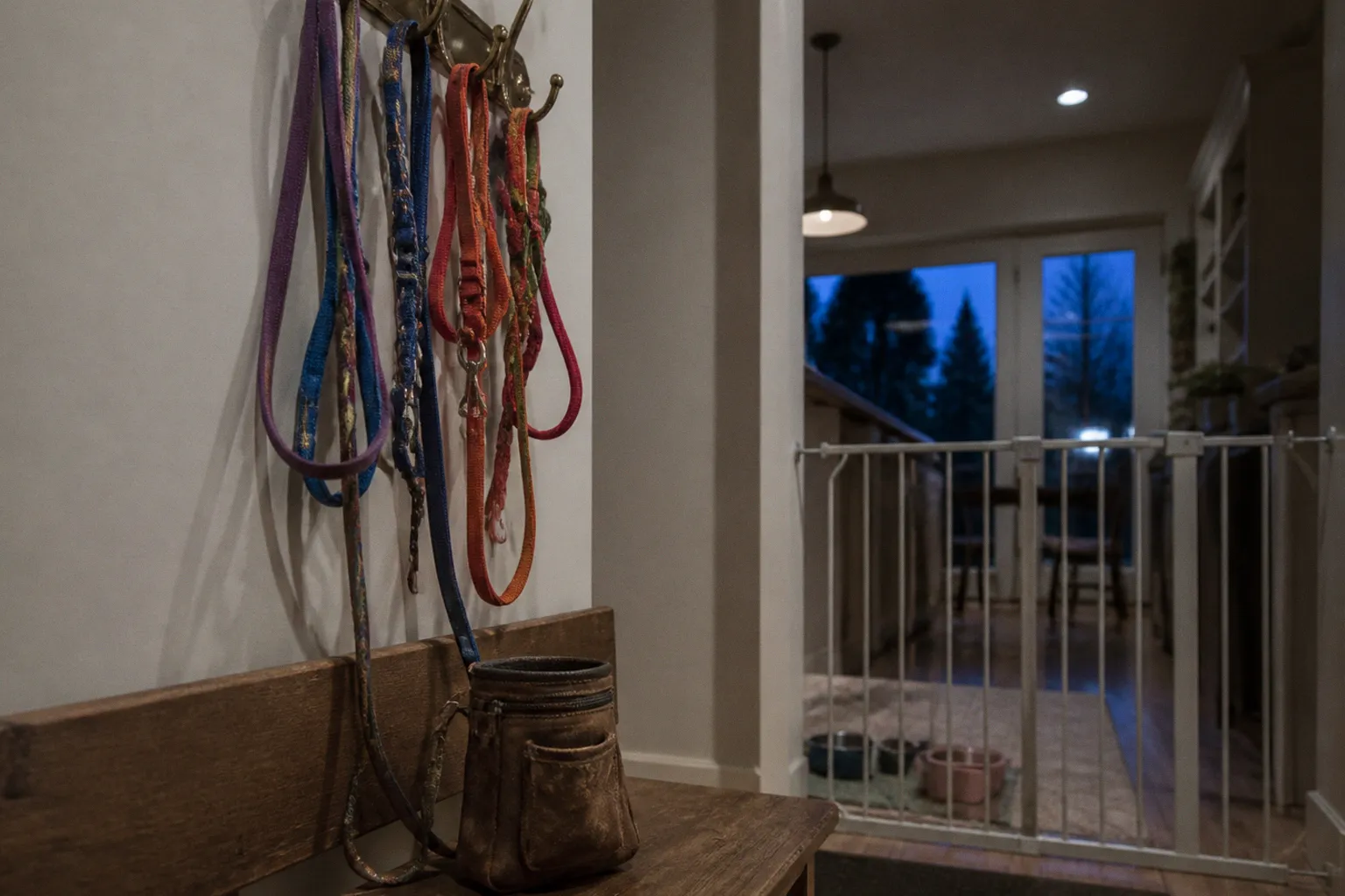 Multi-Pet Client Onboarding: A Sitter’s Step-by-Step Guide