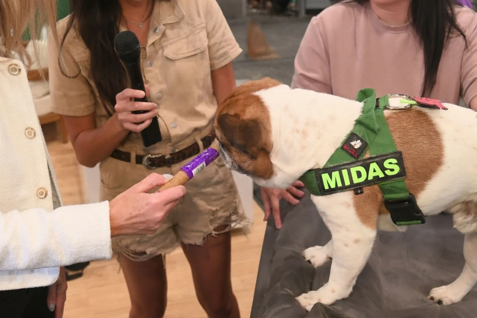 Navigating New Pet Treat Trends: A Guide for Professional Walkers and Sitters