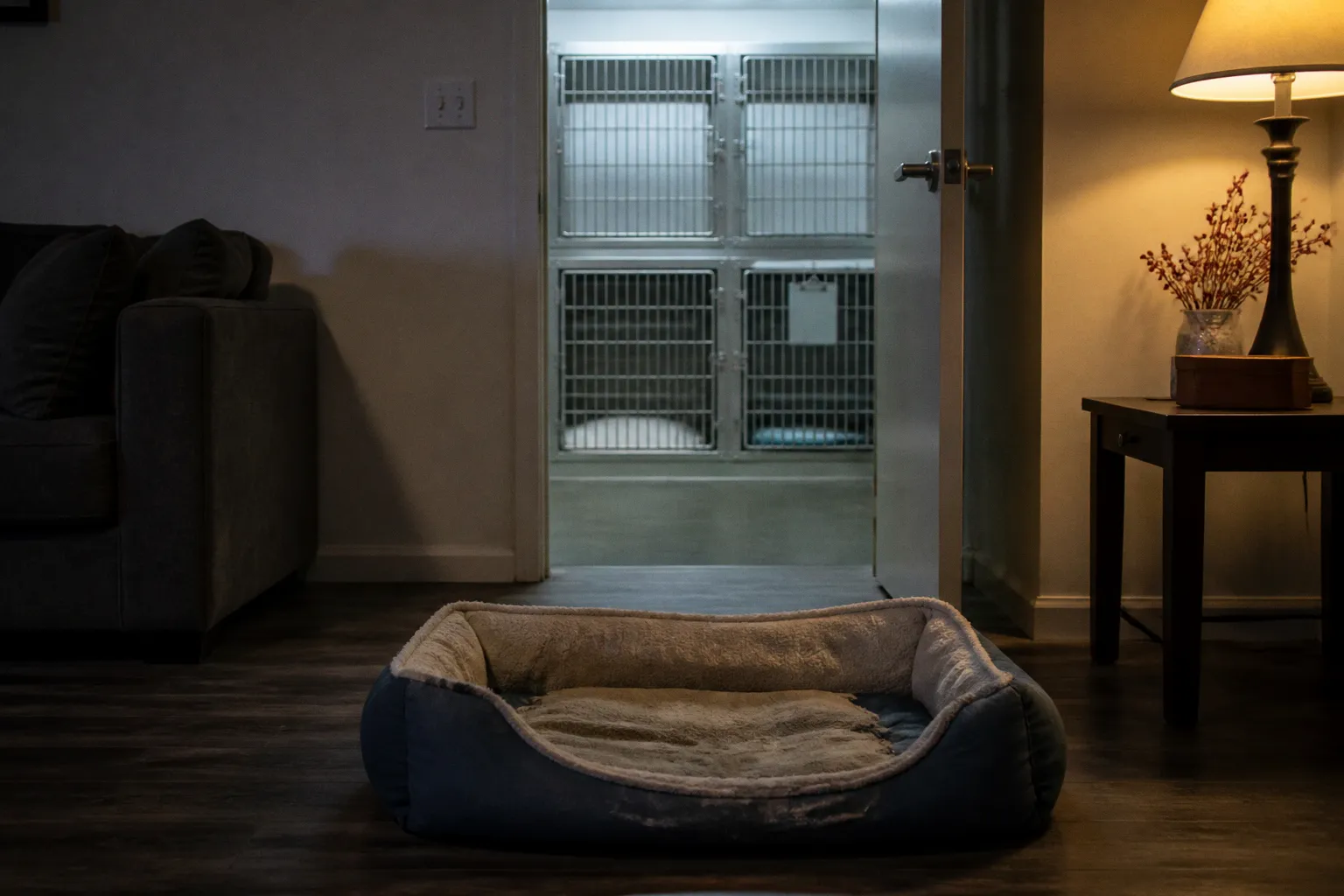Overnight Pet Care: Hidden Costs of Boarding vs Sitting