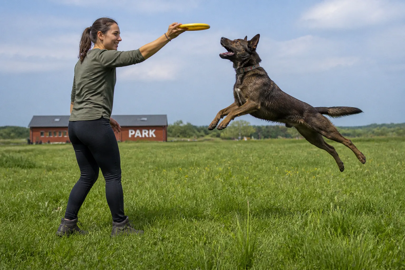 Protecting Your Adventure Dog’s Longevity Through Proactive Joint and Muscle Care