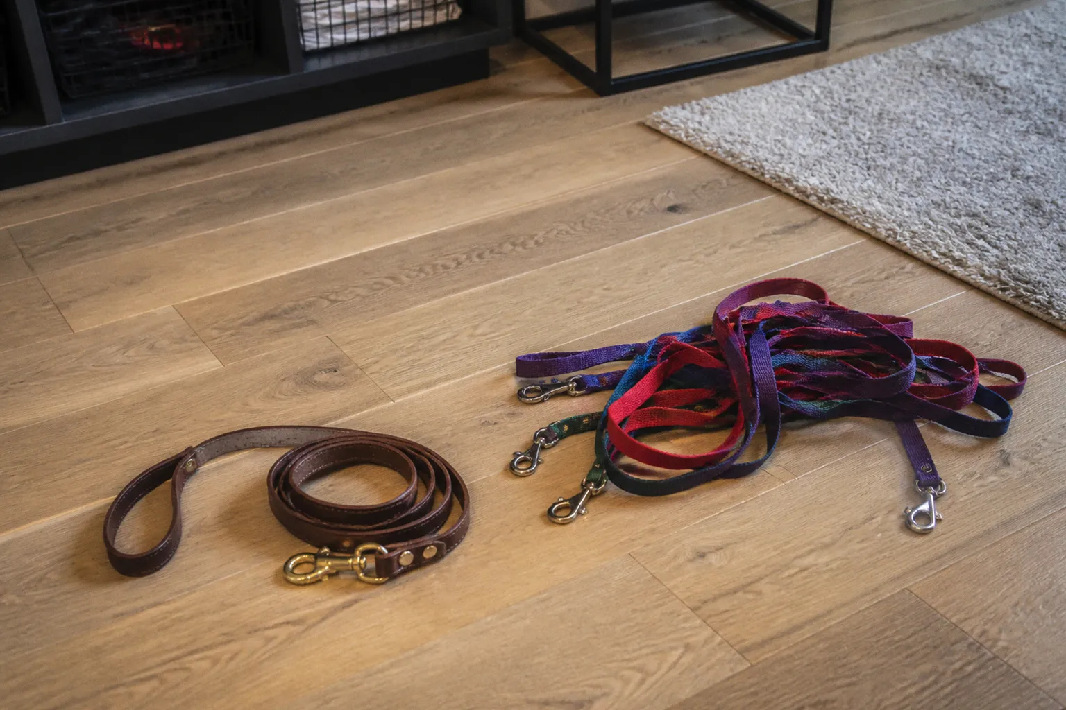 Reactive Dog Pack Walk Milestones from Solo to Group