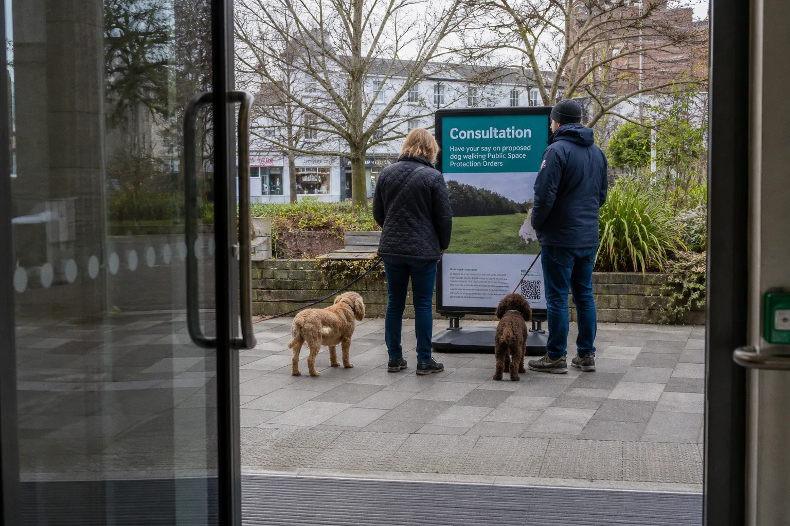 Reigate Council Launches Public Consultation on Dog Walking PSPO Regulations