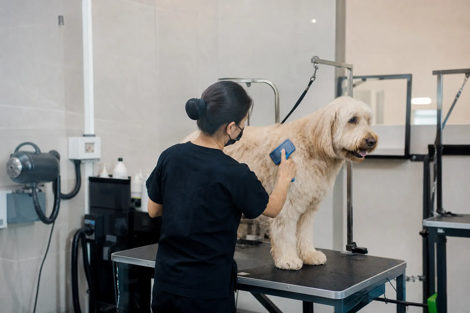 Selecting the Right Pet Grooming Services in Dubai for Your Dog's Routine