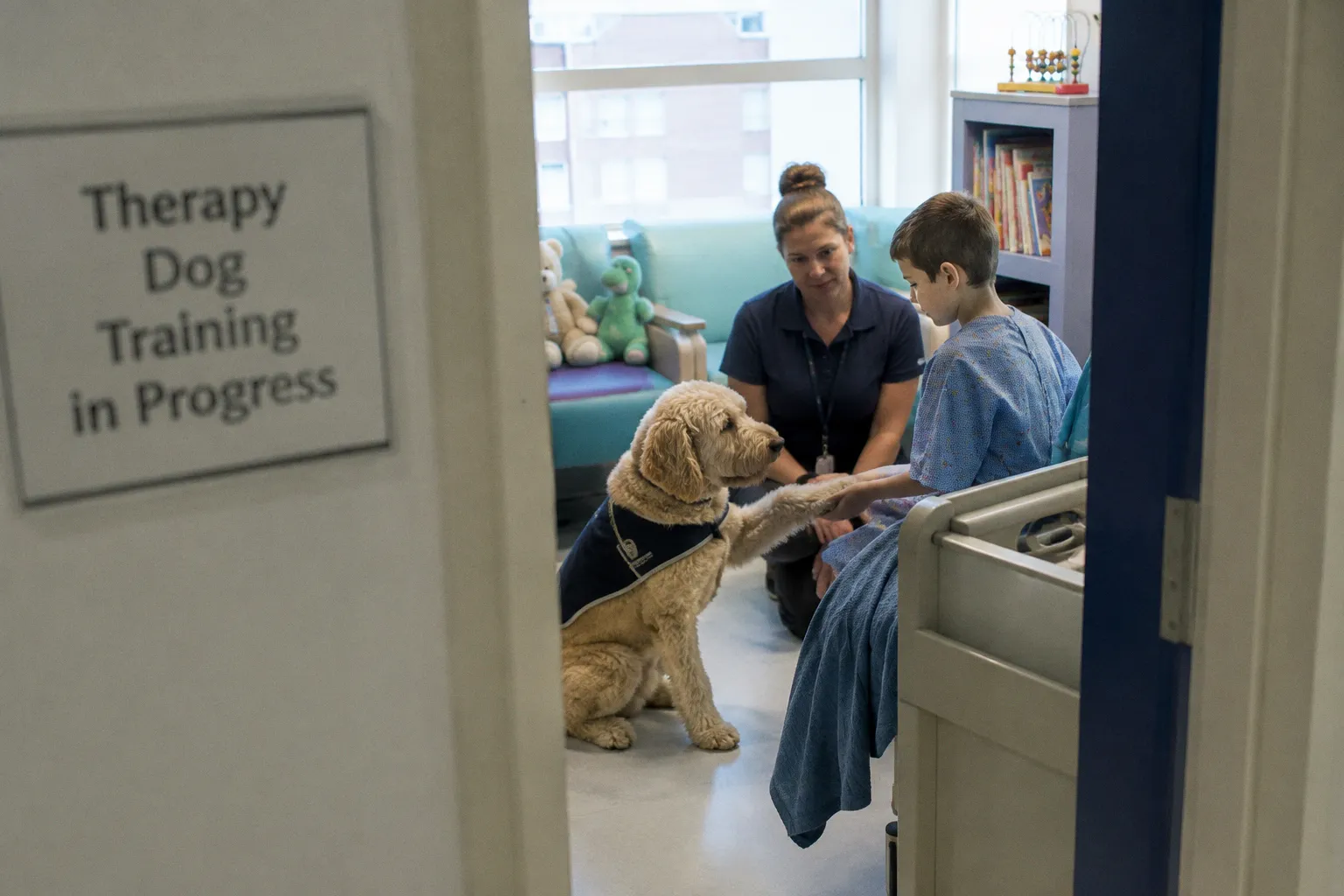 Training Therapy Dogs to Support Pediatric Patients and Reduce Medical Anxiety