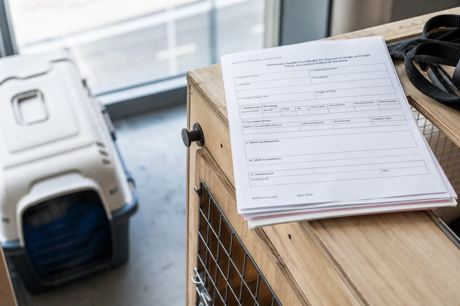 USDA pet travel certificates: timing and cost traps