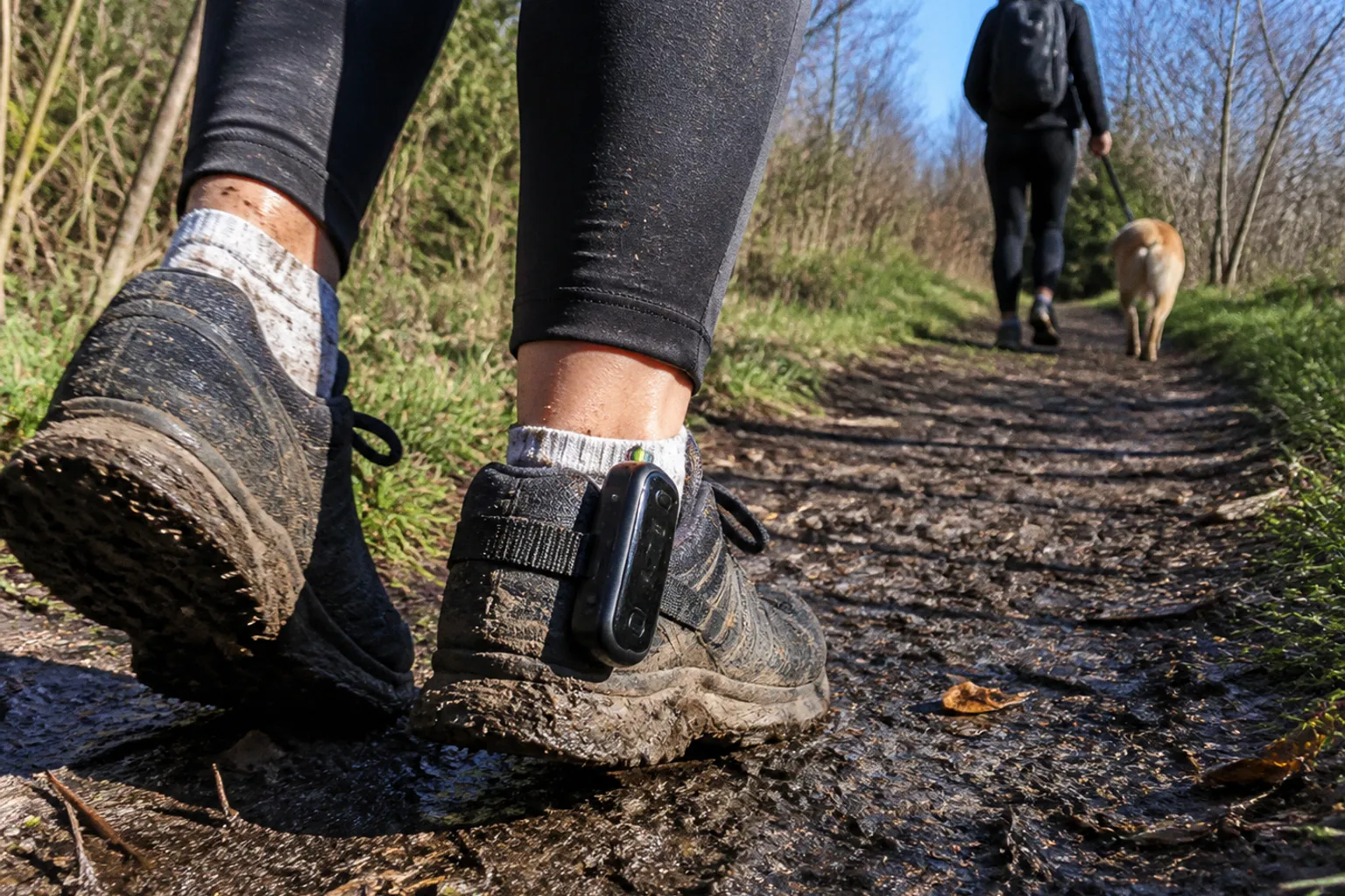 Virbac and MapMyWalk Launch GPS-Tracked Challenges to Promote Canine Mobility Supplements