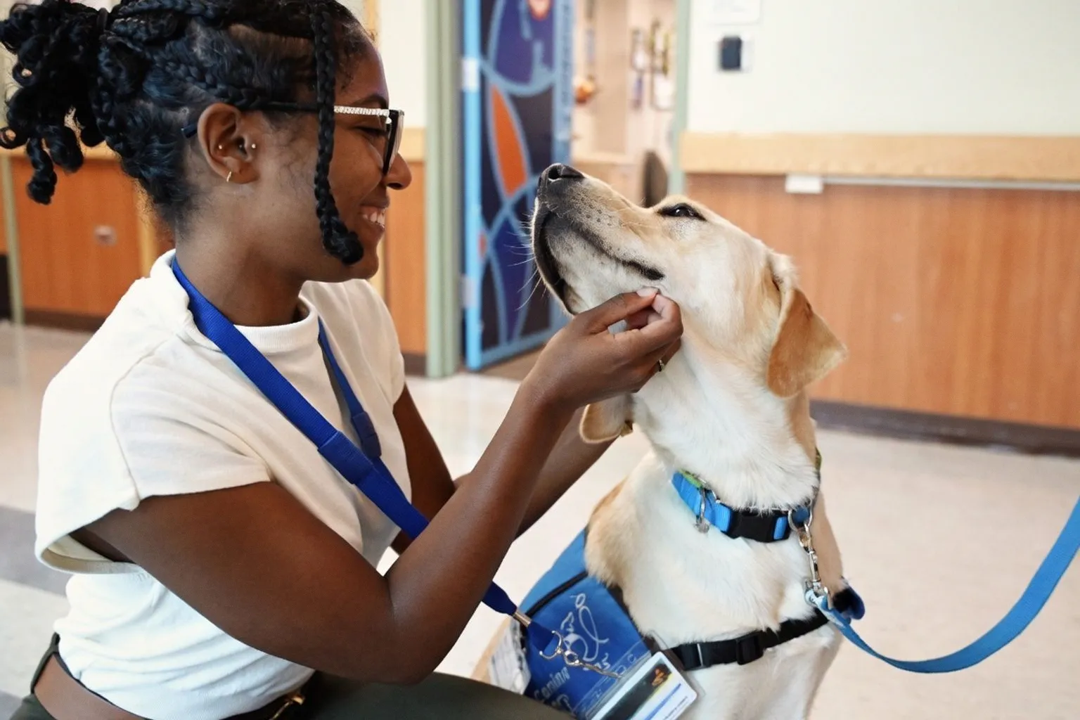 Why Pet Anxiety Is Reshaping the Future of Professional Care Services