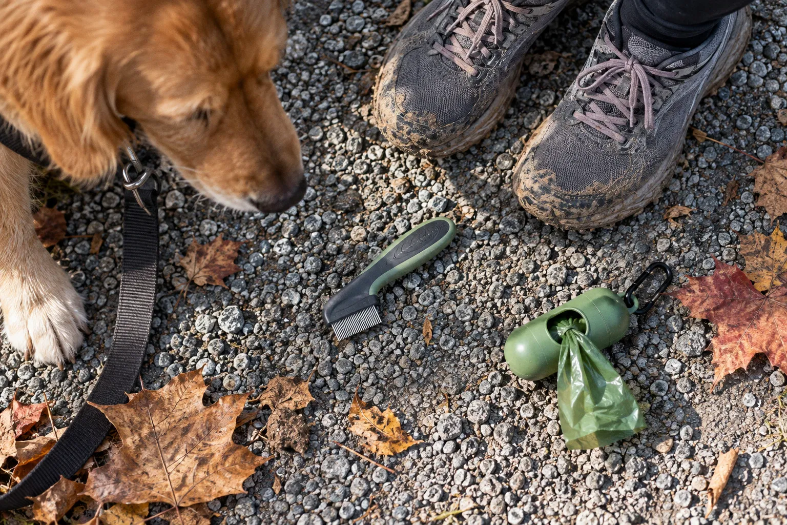 Why Professional Pet Care Providers Must Adopt Year-Round Parasite Prevention