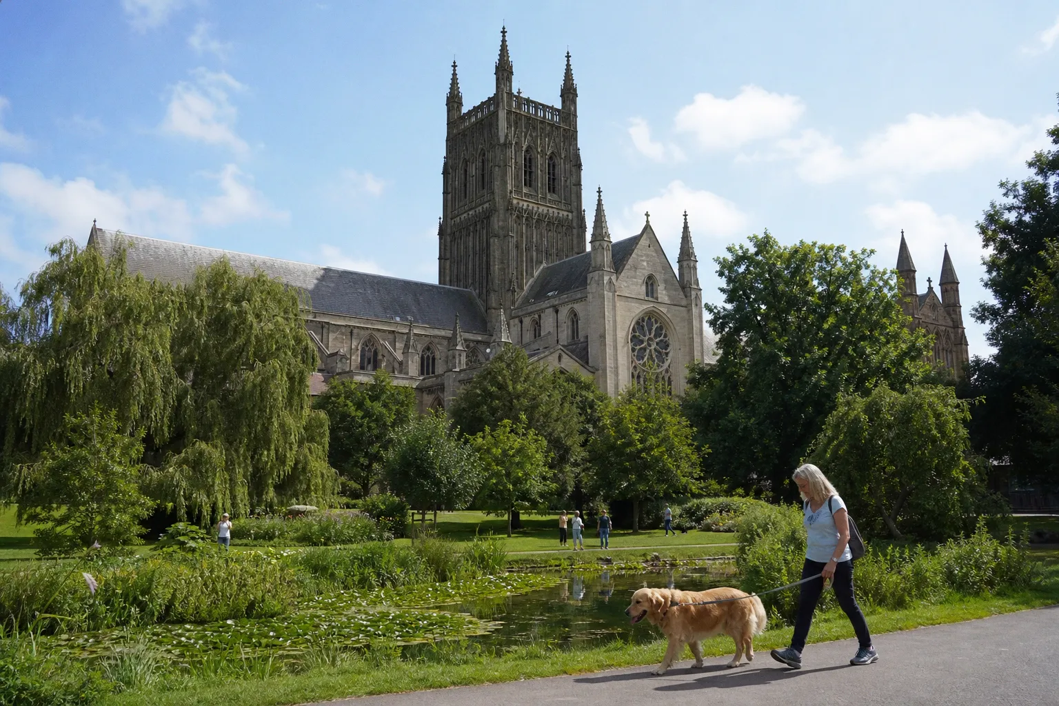 Why Your Daily Dog Walk Routine Might Be Failing Your Pet